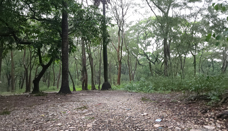 University of the Philippines Arboretum, Philippines